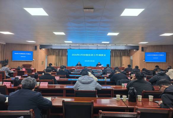 2月份稳投资调度会